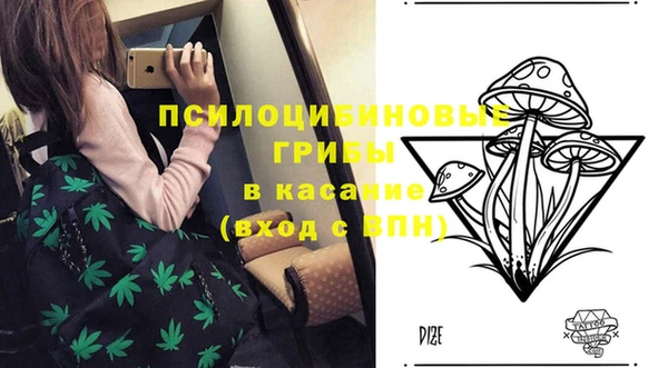 мдпв Осинники