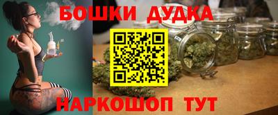 гидра Кинель