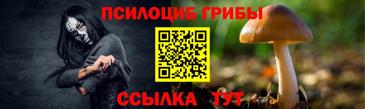 Галлюциногенные грибы GOLDEN TEACHER  Вход с VPN  Мирный 